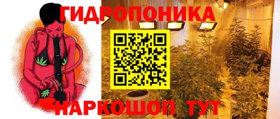 гидра Краснокаменск